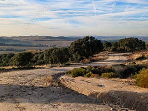 Scenic dirt road winding through hills and trees under a clear sky during sunset in rural landscape