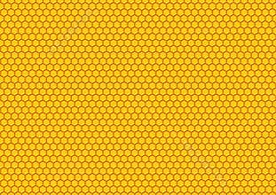 Honey comp pattern