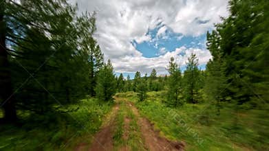 A view of a rural dirt road. The road in the mountains through a wooded area at speed. View from the front windshield of the car