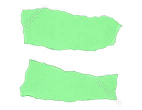Green ripped paper pieces collection, even surface with rough borders, modern abstract elements.