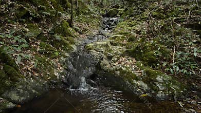 Narrow brook flowing