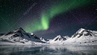 Mesmerizing dance of vibrant green and purple auroral lights, gracefully undulating across the vast, star studded arctic night