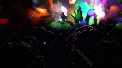 Crowd of people dancing at the concert