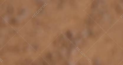 wood pellets from pine sawdust after getting on them with a