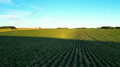 Aerial Landscape of Green and Brown Farm Fields