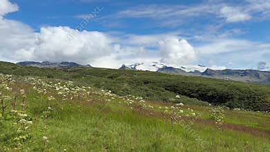 Expansive Green Meadow with Dirt Trail Leading to Distant Snowy Mountains in Iceland