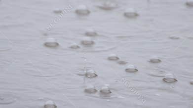 Rain bubbles float gently on the surface of the water stream.