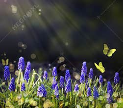 Art Spring flowering meadows