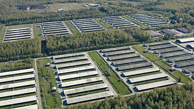 Aerial view of poultry farm