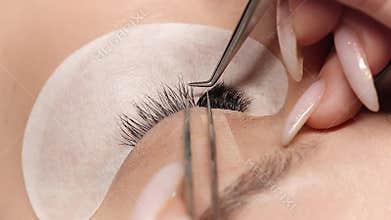 Eyelashes extensions. Fake eyelashes. Eyelash extension procedure.Close up portrait of woman eye with long eyelashes