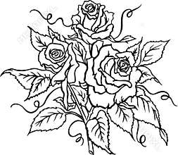 Roses in Full Bloom Vector Illustration