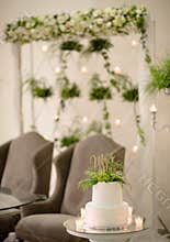 Two tiered wedding cake at a reception with green leaves and Mr and Mrs decorative topper