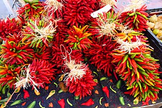 Little Chile Ristras