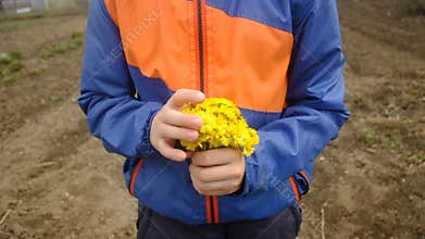 Teenager boy holds yellow flowers. In the spring at the farm. carefree childhood