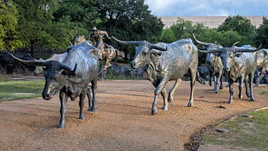 Bronze cowboy on horseback with steers in the foreground in the Pioneer Plaza, Dallas, Texas.