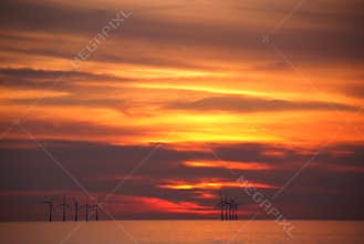 Eolian field and wind turbines
