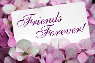 Flowers with friendship card