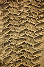 Tire Tracks