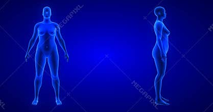 Weight loss body transformation - front and side view, woman theme. Blue Human Anatomy Body 3D Scan render