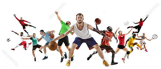 Sport collage of professional athletes or players isolated on white background, flyer
