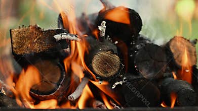 Close-up of firewood in flame