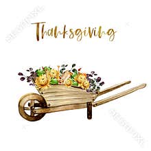 Watercolor composition of vintage wooden wheelbarrow with yellow chrysanthemums, green apples, watering can and autumn branches.