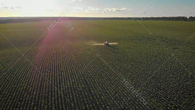 Aerial view of farming tractor spraying on field with sprayer, herbicides and pesticides at sunset. Farm machinery