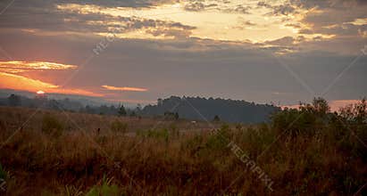 Sunset in the fields of the Latin American Pampa Biome