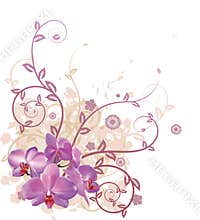 Cool orchid floral background
