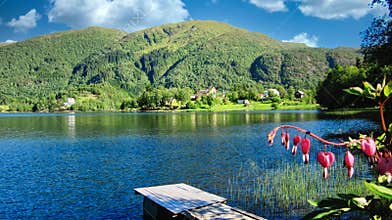 Beautiful Summer Landscape with Lake, Mountains, Green Forest and Blue Sky with White Clouds in Sunlight