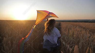Pretty girl playing with kite in wheat field on summer day. Childhood, lifestyle concept.
