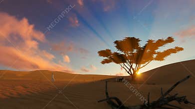 Arab man walking through the desert towards oasis at sunset, fly cam