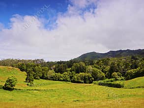 Landscape of Santa Maria Island, Azores