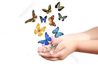 Child's hand releasing butterflies