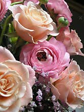 Peach & pink