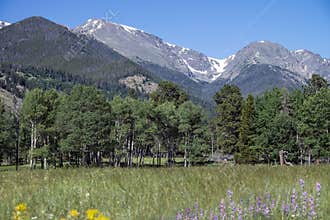 Horseshoe Park in Rocky Mountain National Park mountain meadow and snowy peaks in Colorado