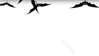 Flock of bats Halloween luma matte transitions