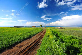 Beautiful Landscapes