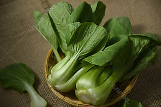 Bok choy vegetable in a basket