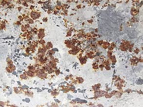 Rust texture on metal sheet abstrack background concetp