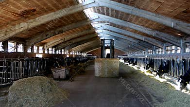 Indoor dairy farm