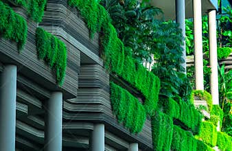 Eco friendly building with vertical garden in modern city. Green plant and tree forest and ivy on facade on sustainable building.