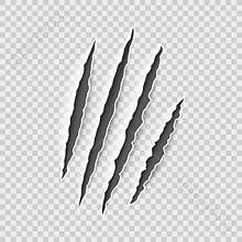 Claw marks. Claws scratches, cat and tiger, lion and bear animals paws attack tracks. Halloween monster, horror vector