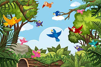 Colorful birds in jungle scene