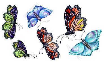 Set of watercolor illustrations depicting bright butterflies hand-painted.