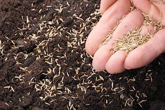 Sowing hand