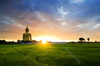 Buddha Statue
