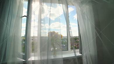 Sheer white curtains blowing in the wind - sunflowers in the vase