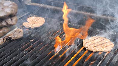 Cooking burgers and hamburgers flame grilled hosper meat pork beef mutton veal and chicken fillet for a party street