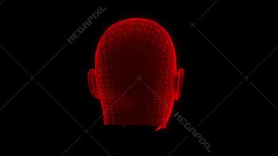 Red Wireframe Man Head Animation Loop Graphic Element V2